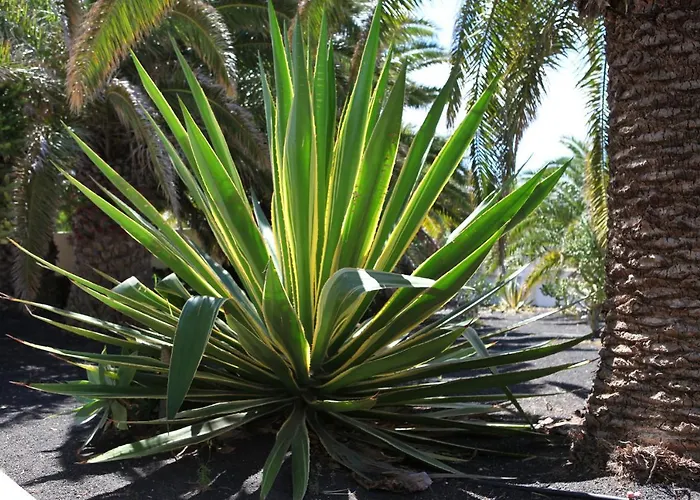 Casas Piedras Casa vacanze Tías