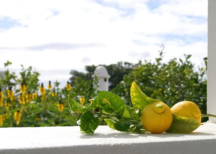 Casas Piedras Tatil Evi *