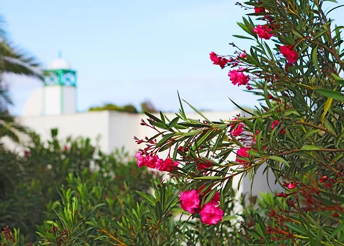Casas Piedras Tatil Evi Tías