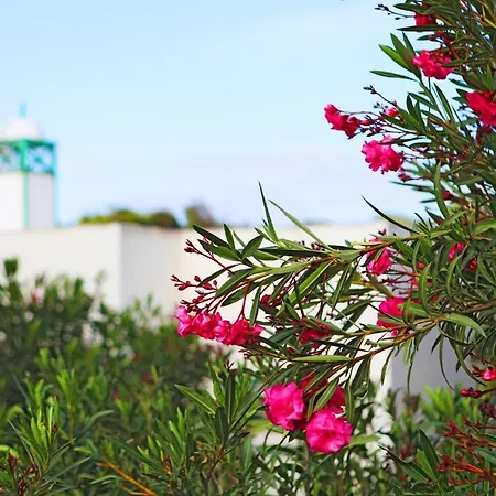 Casas Piedras בית נופש Tías